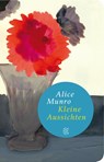 Kleine Aussichten - MUNRO,  Alice - 9783596521234