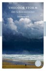 Der Schimmelreiter / Immensee - Theodor Storm - 9783596900367