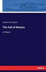 The Fall of Mexico - Edward Jerningham - 9783744712668