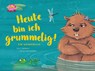 Heute bin ich grummelig! / Heute bin ich fröhlich! - Jule Ambach - 9783751400541