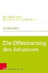 Die Offenbarung des Johannes - KLAIBER,  Walter - 9783788733919