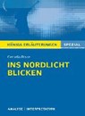 Ins Nordlicht blicken von Cornelia Franz. Königs Erläuterungen Spezial. - FRANZ,  Cornelia - 9783804430938