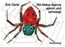 Die kleine Spinne spinnt und schweigt - Eric Carle - 9783836941501