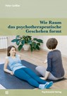 Wie Raum das psychotherapeutische Geschehen formt - Peter Geißler - 9783837935219