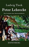 Peter Lebrecht - Ludwig Tieck - 9783843071369