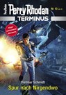 Terminus 10: Spur nach Nirgendwo - Dietmar Schmidt - 9783845353227
