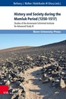 History and Society during the Mamluk Period (1250–1517) - Bethany Walker ; Abdelkader Al Ghouz - 9783847111504