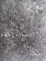Bosco Sodi -  - 9783862281114
