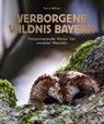 Verborgene Wildnis Bayern - Ferry Böhme - 9783862467990