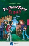 Die Wilden Küken 4. Es spukt! - Thomas Schmid - 9783862727605