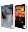 Die Britannien-Saga. Band 1 und 2: Hengist und Horsa / Brand und Mord - Sven R. Kantelhardt - 9783862827725