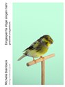 Eingesperrte Vögel singen mehr - Michelle Steinbeck - 9783863912130