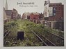 Joel Sternfeld - Joel Sternfeld - 9783865219824