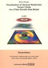 Visualization of General Relativistic Tensor Fields via a Fiber - BENGER,  Werner - 9783865411082