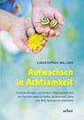 AUFWACHSEN IN ACHTSAMKEIT - Christopher Willard - 9783867811873