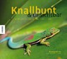 Knallbunt und unsichtbar - WOTHE,  Konrad ; Rasper, Martin - 9783868739190