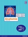 Anatomie - Bafög-Ausgabe - Frederic H. Martini ; Michael J. Timmons ; Robert B. Tallitsch - 9783868943399