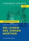 Die Leiden des jungen Werther - Johann Wolfgang von Goethe - 9783872915054