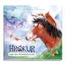 Hrókur und die Himmelsreiter - Wendland Ralf ; Sibylle Engstrom - 9783911060769
