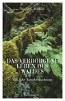 Das verborgene Leben des Waldes - David G. Haskell - 9783956140808