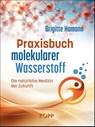 Praxisbuch molekularer Wasserstoff - Brigitte Hamann - 9783989920453