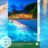 The Bioluminescent Blackout - Englische Krimi-Lektüre B1-B2 (+ Audio-CD) - Carolyn Marsh - 9783991687719