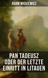 Pan Tadeusz oder Der letzte Einritt in Litauen - Adam Mickiewicz ; Isabella Heinrich - 9788027216017
