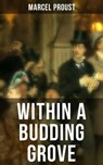Within A Budding Grove - Marcel Proust ; Owen Hartley - 9788027221813