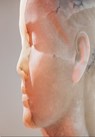 Jaume Plensa: Inner Matter -  - 9788410290204