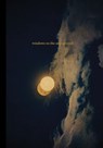 Albarrán Cabrera: Windows to the Unexpected -  - 9788410290211