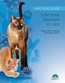 Infectious Diseases in Cats. Practical Guide - Juanjo Vega Guerrero ; Valentina Aybar González - 9788417225131
