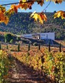 The World Winery Collection - Luca Molinari ; Anja Visini - 9788855210249
