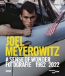 Joel Meyerowitz: A Sense of Wonder (Bilingual edition) - Denis Curti - 9788857253923
