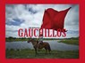 Gauchillos - Toni Meneguzzo ; Andrés Sala ; Daphné Anglès ; Jean Blanchaert ; Tommaso Basilio - 9788862085137