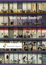 Wat is een bedrijf? - Rienk Stuive - 9789001837853
