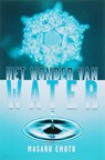 Het wonder van water - Masuru Emoto - 9789020200829