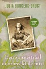 Een zonnestraal doorbreekt de mist - Julia Burgers-Drost - 9789020535808