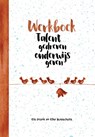 Werkboek Talentgedreven onderwijs geven - Els Pronk ; Elke Busschots - 9789023258810