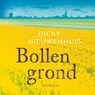 Bollengrond - Dicky Nieuwenhuis - 9789023964568
