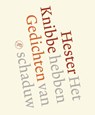 Het hebben van schaduw - Hester Knibbe - 9789029575249
