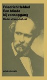 Een blinde bij zonsopgang - Friedrich Hebbel - 9789029581967