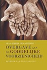Overgave aan de Goddelijke voorzienigheid - Jean-Pierre de Caussade - 9789031735792
