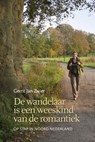 De wandelaar is een weeskind van de romantiek - Gerrit Jan Zwier - 9789033003455