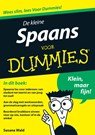 De kleine Spaans voor Dummies - Susana Wald ; Fontline - 9789043023276