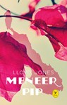 Meneer Pip - Lloyd Jones - 9789045340029