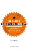 De kleine Csikszentmihalyi - Jeroen Ansink - 9789047011996