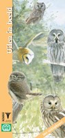 Uilen in beeld - vogelgids, natuurgids - D. de Vos ; Dick de Vos - 9789050113342