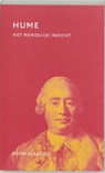 Het menselijk inzicht - D. Hume - 9789053527832
