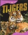Tijgers - Sally Morgan - 9789054958604