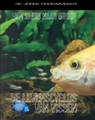 De levenscyclus van vissen - Richard Spilsbury ; Louise Spilsbury - 9789055660506